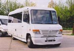 Mercedes Vario